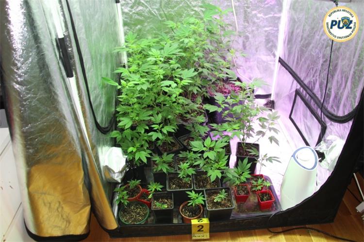 Slika /PU_ZG/slike/PUZ/2019/23.2019. Droga/foto 1.jpg